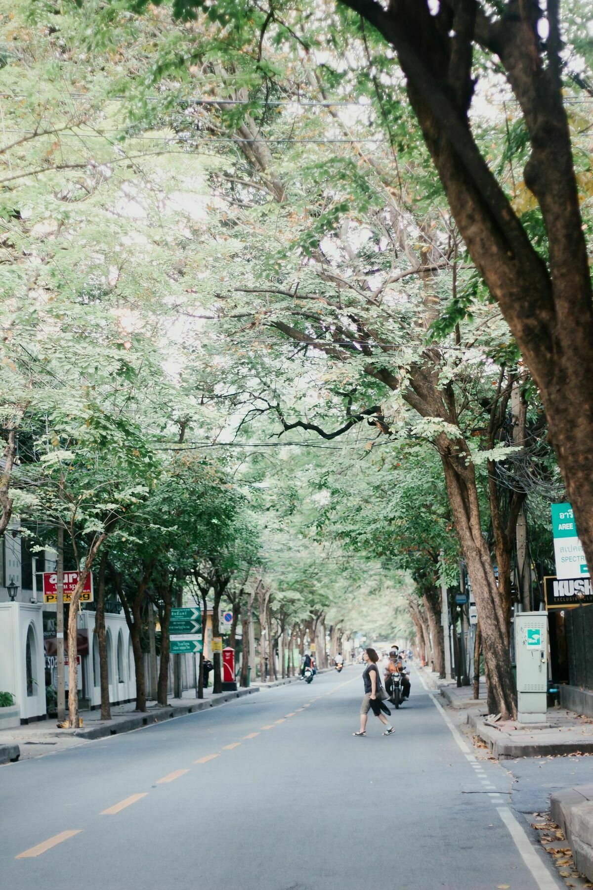 Weeping Willow Sukhumvit 26 Bangkok Bagian luar foto